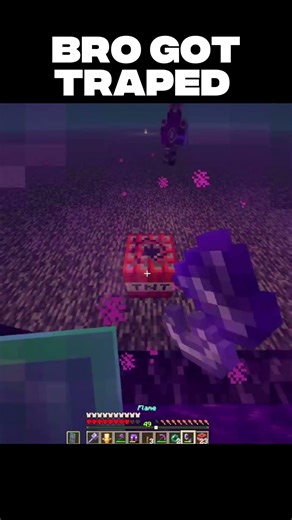 Bro Got Trapped on the Nether Roof