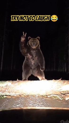 "Epic Fail Shorts 😂 | Funny Fails Compilation 2025 | Must Watch Moments"