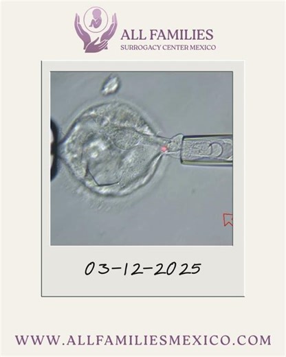 Biopsia del Trofoectodermo | Micro-manipulación Embrionaria | Dr. José Juan Luna