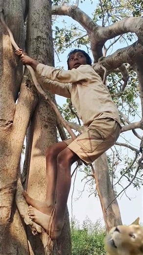 jnagl me lion tiger afra tafri #funny #song