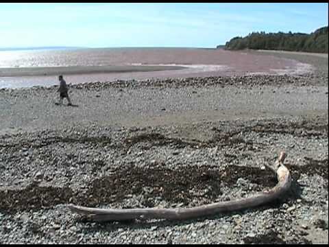 Bay of Fundy Tide Time-lapse, Alma Beach, Fundy National Park,