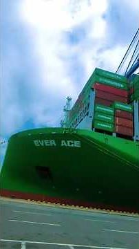 Biggest Ship in the World 🌍 #turkey #evergreen #ace #ship #marinelife #sailor #seaman #dockworks