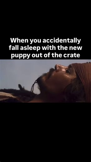 Michael Lobato on Instagram: "The silence wasn’t a good sign. . . All jokes aside crate training is crucial for puppies because it provides them with a safe controlled space during a stage of life where curiosity often outweighs good judgment. Puppies explore with their mouths and bodies which can easily lead to chewing electrical cords swallowing unsafe objects or attempting jumps they are not ready for. A properly introduced crate helps prevent these injuries by limiting access to hazards when