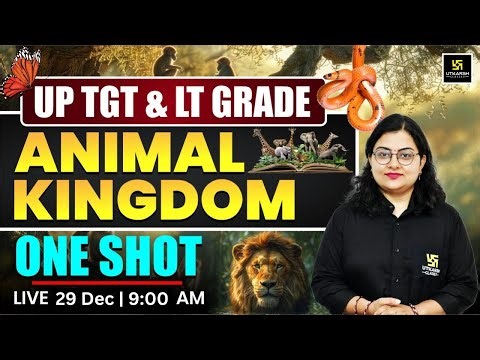 UP TGT Biology | UP LT Grade Biology | Animal Kingdom | One Shot🔥 | Neelam Ma’am