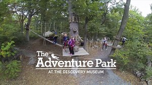37K views · 87 reactions | Have you enjoyed The Adventure Park here in Bridgeport, CT? Come climb and adventure through the trees and experience the best zip lines in the area! Courses range from beginner to expert and guests age 5 years and up will have an amazing time! Non-climbing friends and family are always free. Reserve your tickets online today and we'll see you in the trees! Oh Yeah..... | The Adventure Park at The Discovery Museum | Facebook