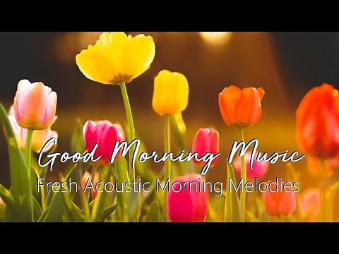 Morning Melodies: Your Daily Dose of Fresh Acoustic Inspiration | Good Morning Music