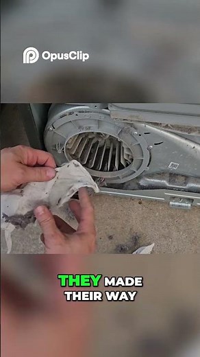 Dryer Lint Buildup Causes, Consequences, and Solutions!