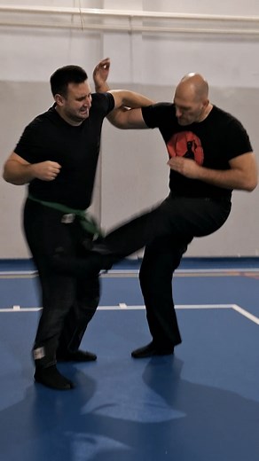 Explore Ichimonji Kihon Gata in Ninjutsu