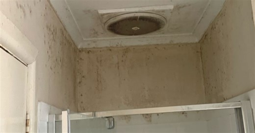 Cleaner's top tip for preventing mould in the home is a very simple habit you can start right now