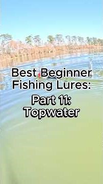 Best Beginner Fishing Lures - Part 11 - Whopper Plopper #fishing