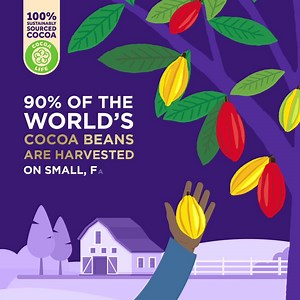 Cocoa Life invests in empowering 200 000 cocoa farmers around the world. Helping them maximise cocoa production and profits, ensures a sustainable future for chocolate and farmers. But what happens in the life of a cocoa bean? #TogetherWeGrow | Cadbury Dairy Milk