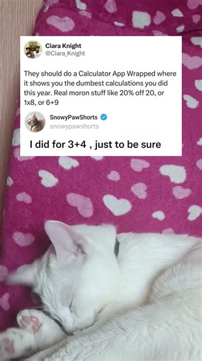 Calculator App Wrapped Would Expose Our Dumbest Math Mistakes