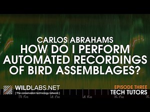 Carlos Abrahams: How do I perform automated recordings of bird assemblages?