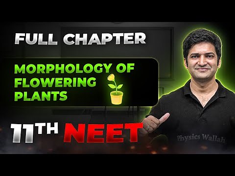 Morphology of Flowering Plants FULL CHAPTER | Class 11th Botany | Arjuna NEET