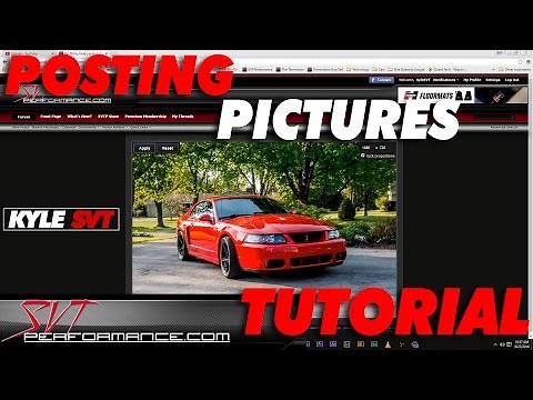 How To Post Pictures on Online Forums