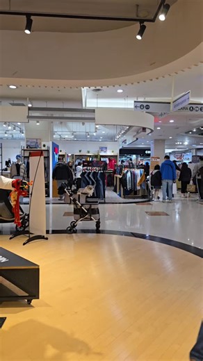 雪橇犬與大貓們 on Instagram: "帶著貓咪逛街去～灰熊整個就是超放鬆！ 今天銤爾顧家，因為他昨天有去鹿港玩了……"