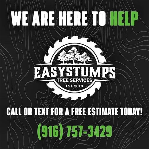 If you love your trees, give them the care they deserve. A little...