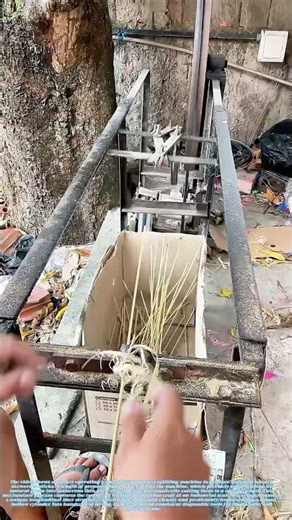 Splitting the Circle: How Bamboo Becomes a Disposable Masterpiece