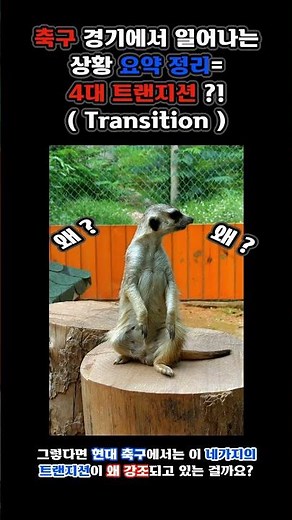 축구 경기에서 일어나는 상황 요약 정리 = 4대 트랜지션 ( Transition )?!