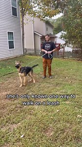 8.2K views · 73 reactions |  Fix Severe Leash Pulling & Reactivity  #dogtraining #marylanddogtrainer #dogtips #dogtrainingadvice #doggo #clickertraining #dogtrainingtips # #certifieddogtrainer #dogclasses #puppyclass #puppyclasses #PrivateDogTraining #dogproblems #puppyproblems #puppyparents #dogwalk #dogwalking # | Best Buddy Dog Trainer, LLC | Facebook