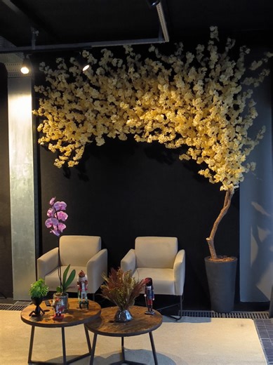 Beleza das Cerejeiras: Decoração e Paisagismo