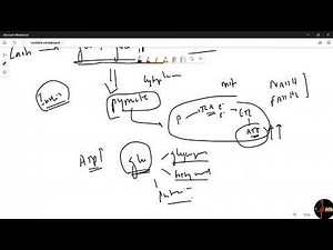Metabolism Biochemistry SUMMARY | USMLE STEP 1