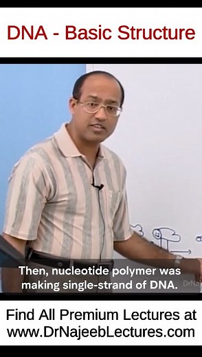 ⭕️ DNA - Basic Structure This Reel is a clip from the "DNA Organisation Part 1 " To watch this complete lecture please visit our website. 👇🏻👇🏻👇🏻 www.drnajeeblectures.com If you Sign Up Now you can get lifetime access to our premium lectures for just $45 ONLY. So hurry up and sign up now. The link is below. 👇🏻👇🏻👇🏻👇🏻👇🏻👇🏻👇🏻👇🏻👇🏻 httpsmembers.drnajeeblectures.comcourses64b6a71fe4b07805c2a499c2-64b6a71fe4b07805c2a499c2buy=true | Dr. Najeeb