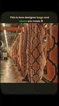 Python #shortsfeed #short