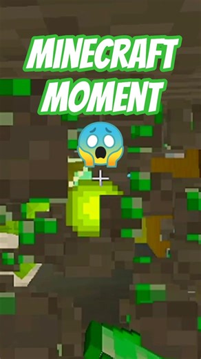 Minecraft dancing parrot is insane...