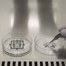 Video: Electrophysiological Analysis of human Pluripotent Stem Cell-derived Cardiomyocytes hPSC-CMs Using Multi-electrode Arrays MEAs