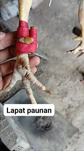 30K views · 592 reactions | Tutorial | Cortes Tutorial Vlogs | Facebook