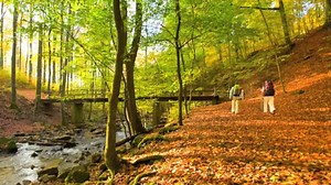 Romantic Germany: Hiking in Rhineland-Palatinate - Rhineland, Germany