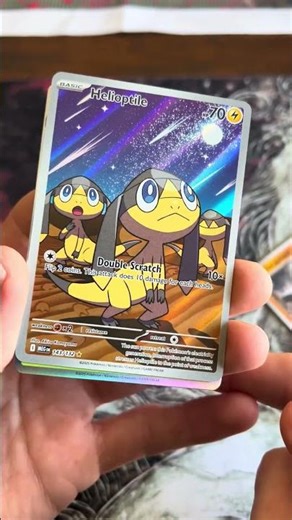 Finding the Illustration Rare Helioptile in Pokemon Mega Evolution!