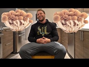 STORY TIME: MY FIRST TIME DOING SHROOMS!