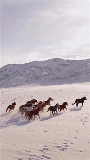 #bollywoodsongs yu to akela bhi aksar