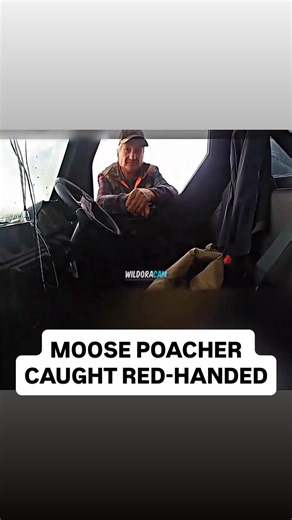 probingcops on Instagram: "follow @justbodycams for more bodycam footage 🚨 日本利用压电瓷砖将脚步转化为电能。这些瓷砖捕捉来自你脚步的动能。当你行走时，你的重量和动作会对瓷砖产生压力。瓷砖会轻微弯曲，从而产生机械应力。瓷砖内部的压电材料将这种应力转化为电能。每一步都会产生少量电荷，而数百万步结合在一起就能产生足够的电力来驱动 LED 灯、数字显示屏和传感器。在像涩谷车站这样繁忙的地方，每天大约有240万个脚步为这一系统作出贡献。这些电能可以被储存或立即使用，从而减少对传统电力来源的依赖，并支持可持续的城市基础设施。这种方法将日常运动转化为实用的可再生能源 #日本#知识#事实#你知道吗#推荐 #科技 #创新 #历史 #技术#实验#热门"