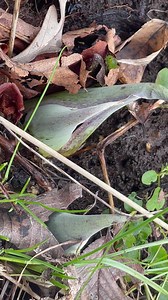 19K views · 260 reactions | Starved Rock and Matthiessen State Parks on Reels | Facebook