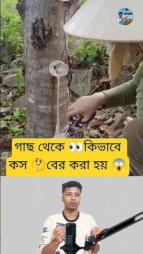 How to Extract Resin From Trees