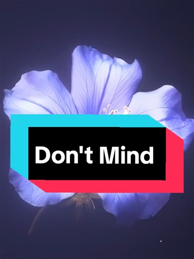 Don't Mind - #dontmind #kentjones #lyrics #song #fyp | song with lyrics