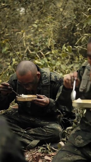 ดำรงชีพในป่า ที่มา : combat_camera_ #กองทัพไทย #ทหารไทย #กองทัพ #ไทยนี้รักสงบแต่ถึงรบไม่ขลาด #fb #thailand #กองทัพบก #reelsfacebook #ทหาร | คลิปทหาร