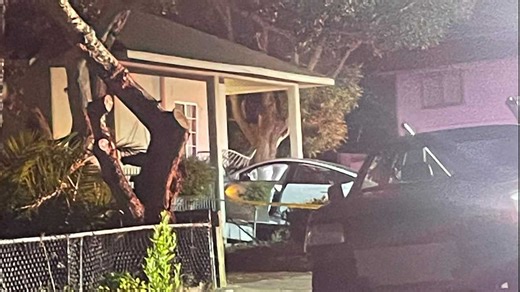 Seaside man arrested for DUI after Tesla crashes into home; firearm found, police say