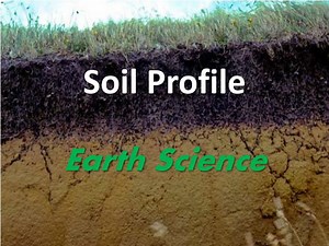 Soil Profile - SlideServe