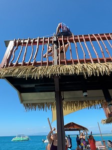 Common Kings on Reels