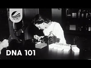 Genealogy: DNA 101