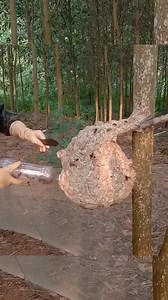 crazy work viralvideo | Hi-tech Gadgets