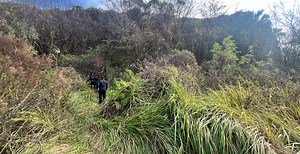 Two Women Tumble More Than 50 Feet Into A Golf Course Quarry