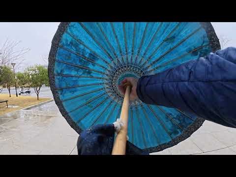 Rainy Day Art Unveiling: A Whispering Silence in Motion