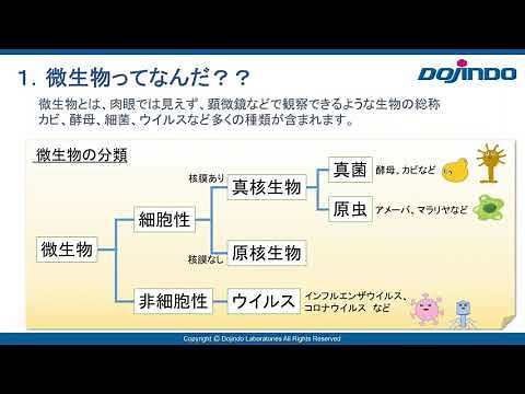 微生物① 同仁化学研究所