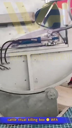 Halal killing box cattle cow abattoir equipment slaughtering Modern Halal Camel Meat With Abattoir