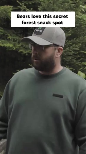 The secret to a great bear hunt 🐻 catch the full bear tip when you download Wild TV to stream an ALL NEW episode of Born to Hunt, available TONIGHT @ 8pm ET (LINK IN BIO)! Wild TV Live Channel Times MON @ 8pm ET (6pm MT) TUE @ 12:30pm ET (10:30am MT) WED 5:30am ET (3:30am MT) SUN 11pm ET (9pm MT) #BornToHunt #hunting #blackbearhunting #bearhunting #huntinghack #huntingtok #WildTV